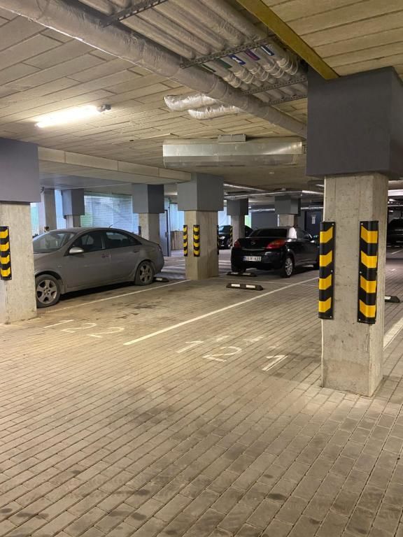 Апартаменты Wolfie Apartment Вильнюс-47